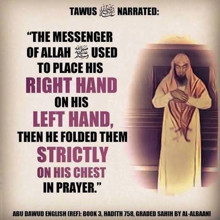 Qayaam
